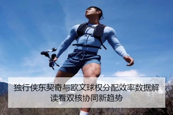 独行侠东契奇与欧文球权分配效率数据解读看双核协同新趋势