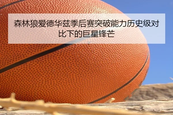 森林狼爱德华兹季后赛突破能力历史级对比下的巨星锋芒