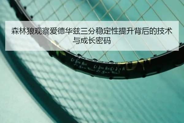 森林狼观察爱德华兹三分稳定性提升背后的技术与成长密码